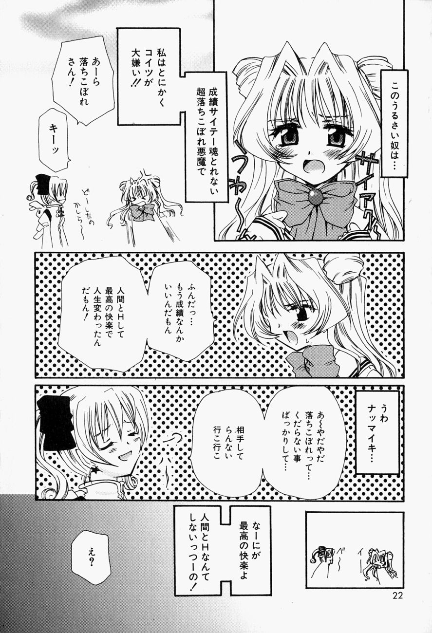 [天櫻みとの] ひがわりランチ