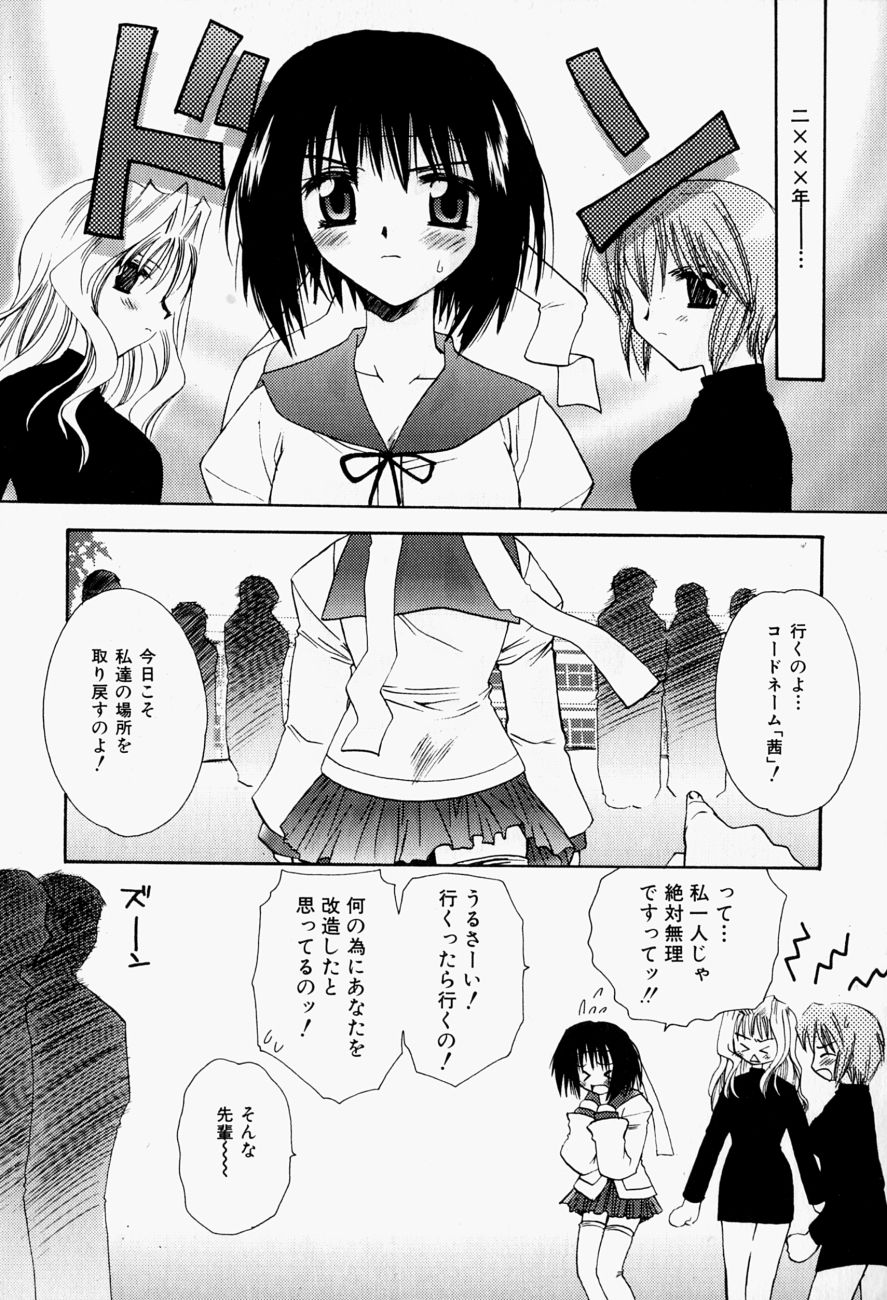 [天櫻みとの] ひがわりランチ