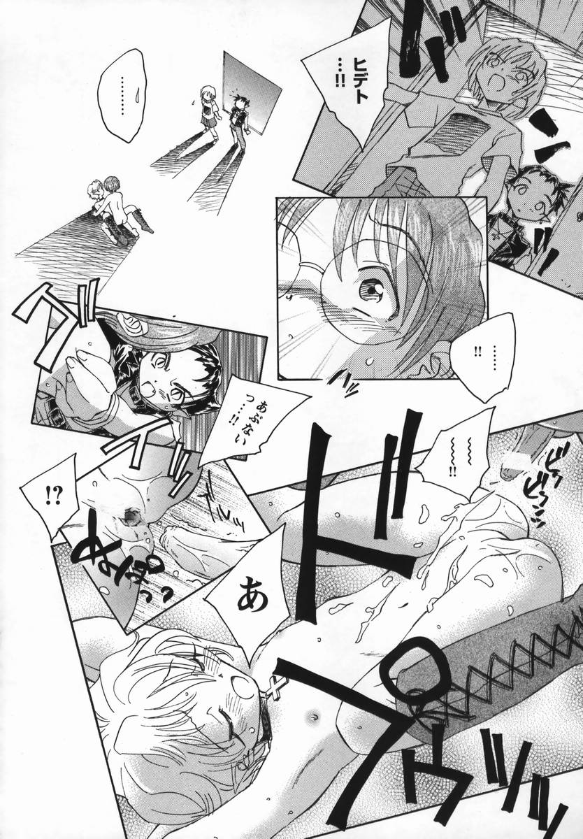 [海野螢] 風の十二方位