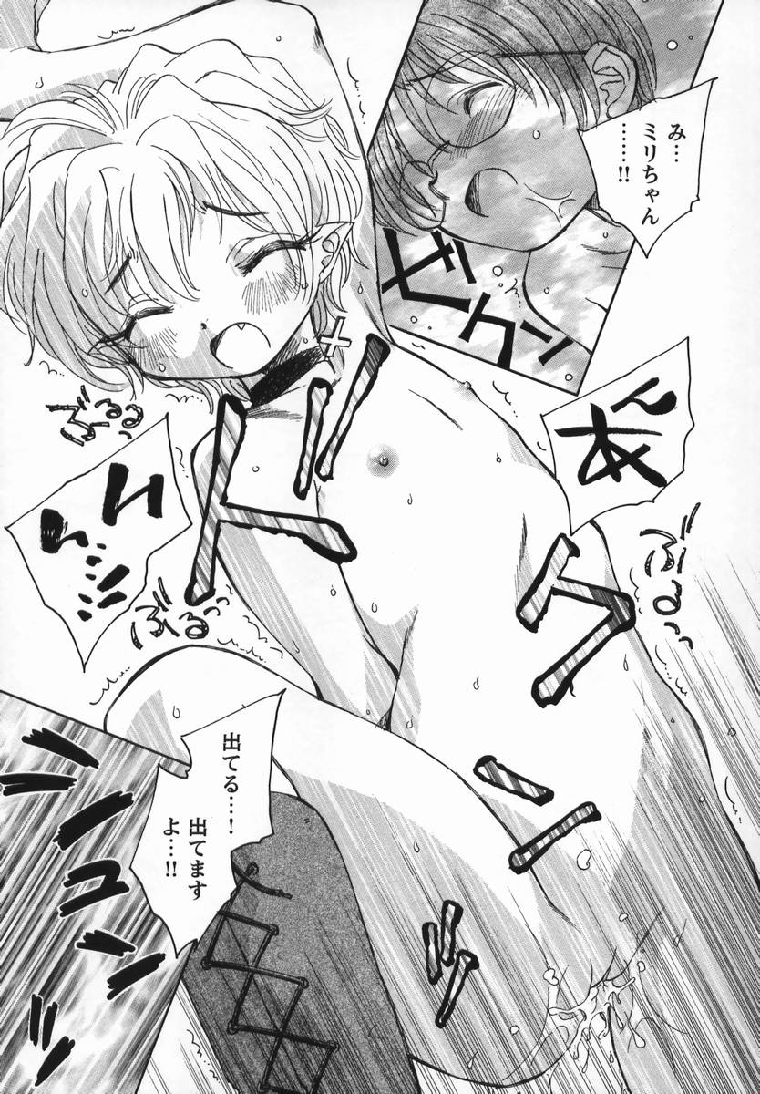 [海野螢] 風の十二方位