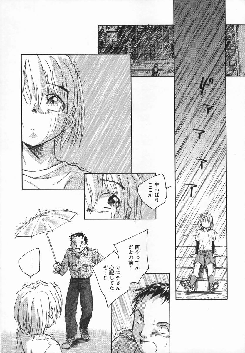 [海野螢] 風の十二方位