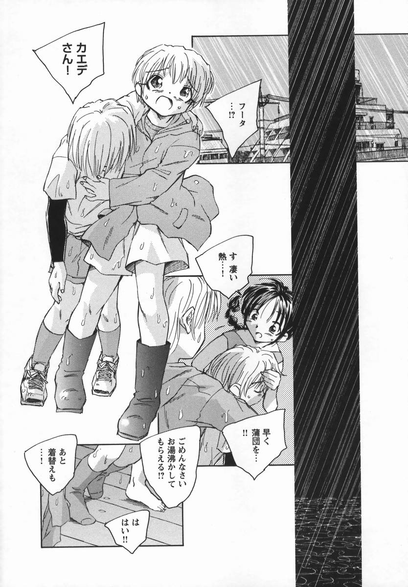 [海野螢] 風の十二方位