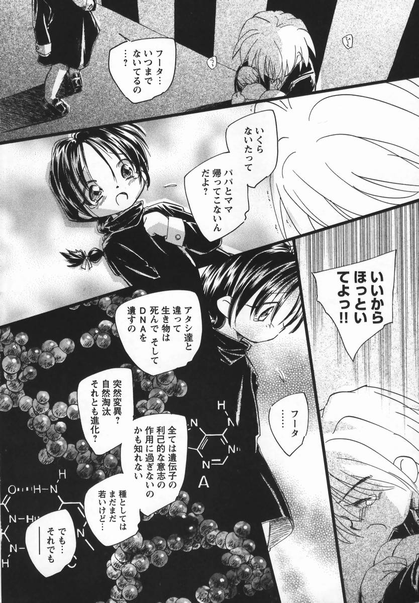 [海野螢] 風の十二方位