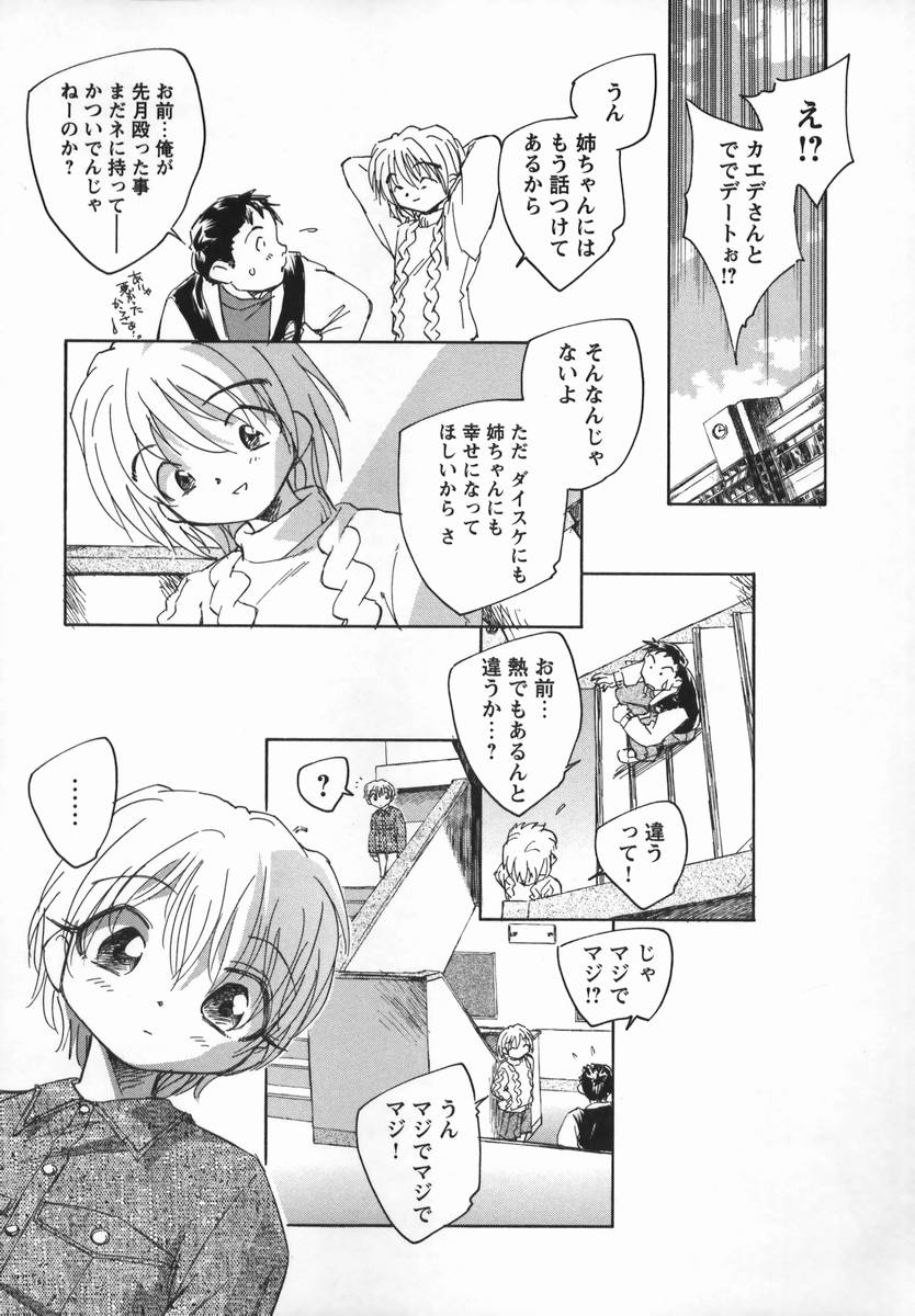 [海野螢] 風の十二方位