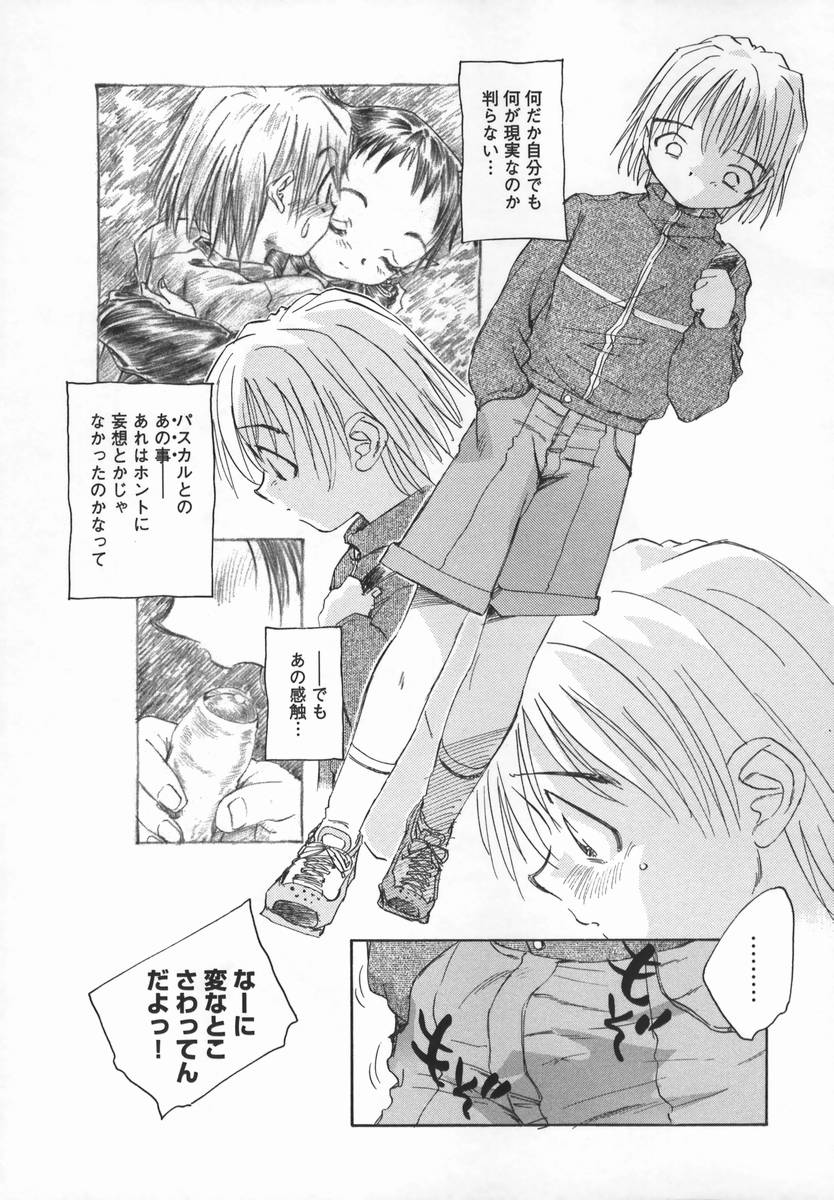 [海野螢] 風の十二方位