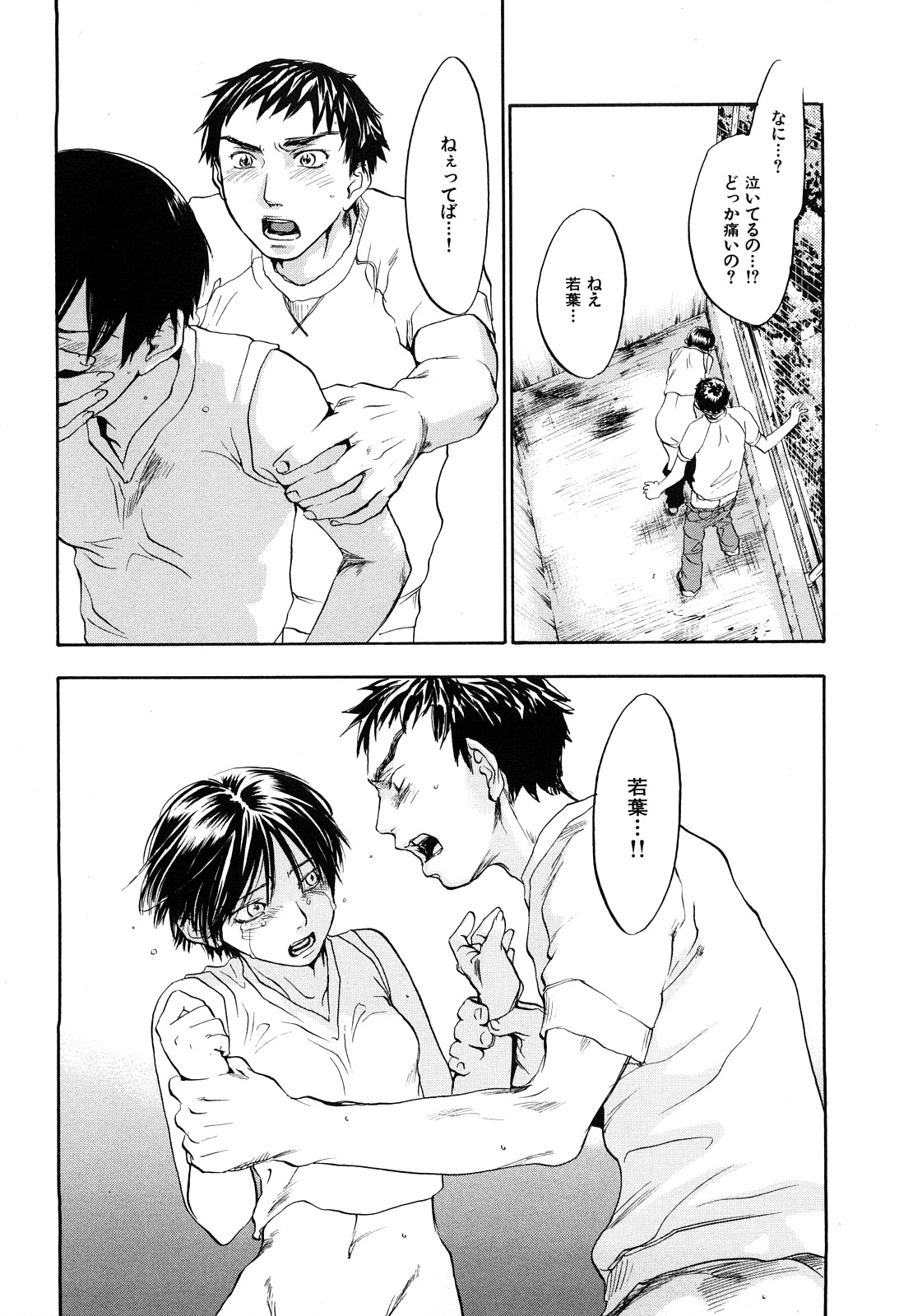 [米倉けんご] エヴァーグリーン 新装版