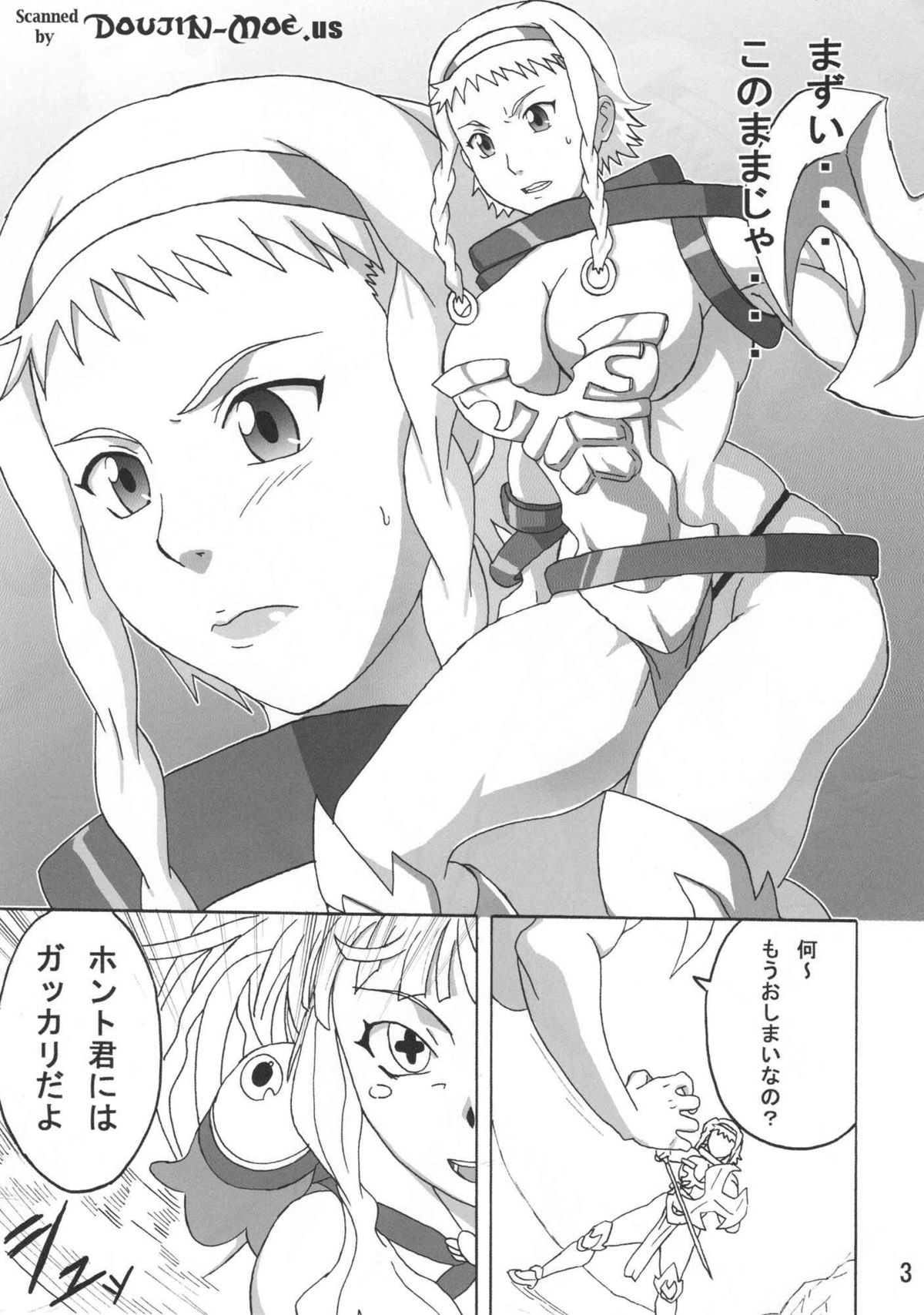 (C76) [NARUHO堂 (なるほど)] レイナ本 (クイーンズブレイド)