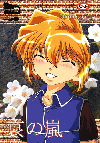 (C65) [Studio Empty (にし)] 哀の嵐 (名探偵コナン)