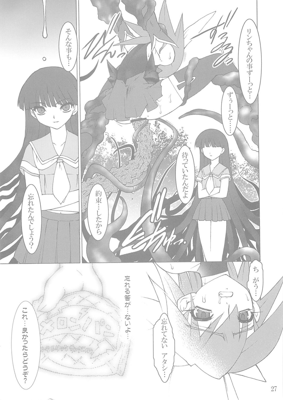 (C66) [龍企画 (龍炎狼牙)] 触 (ふたりはプリキュア, 魔法少女アイ)