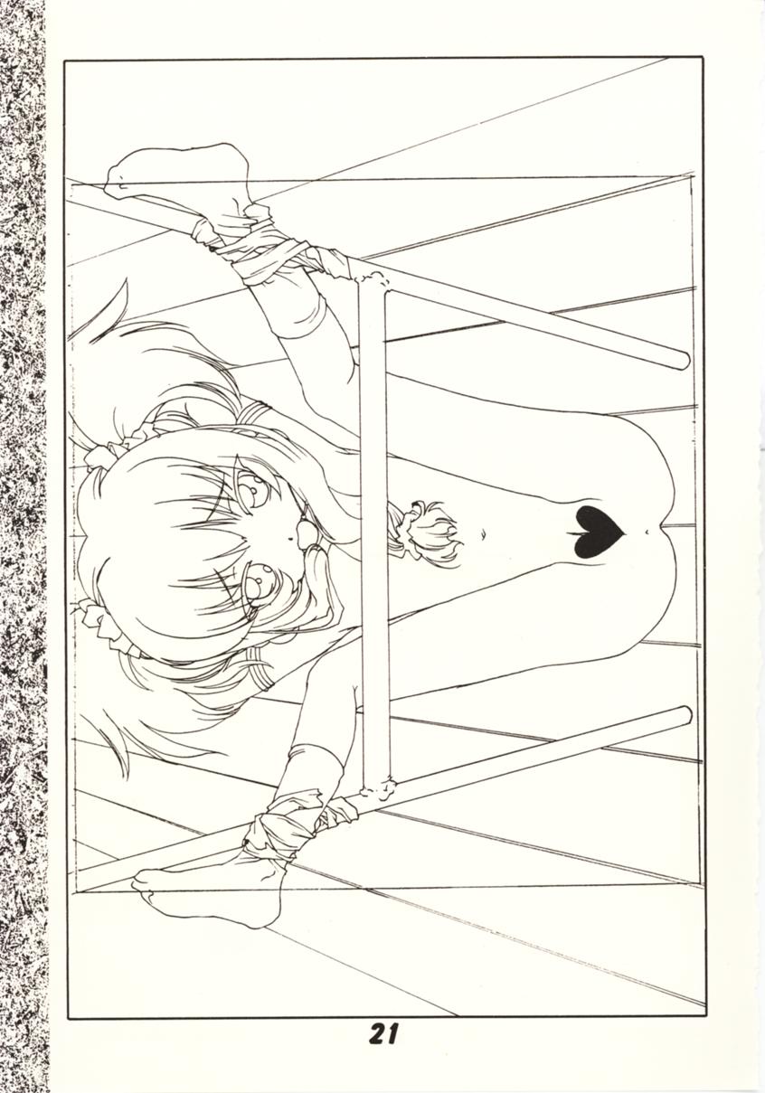 [魚辰一八金支店 (ふじもり沙耶, 琴子, 真一花)] 彼女と私の事情 (アキハバラ電脳組, カードキャプターさくら)