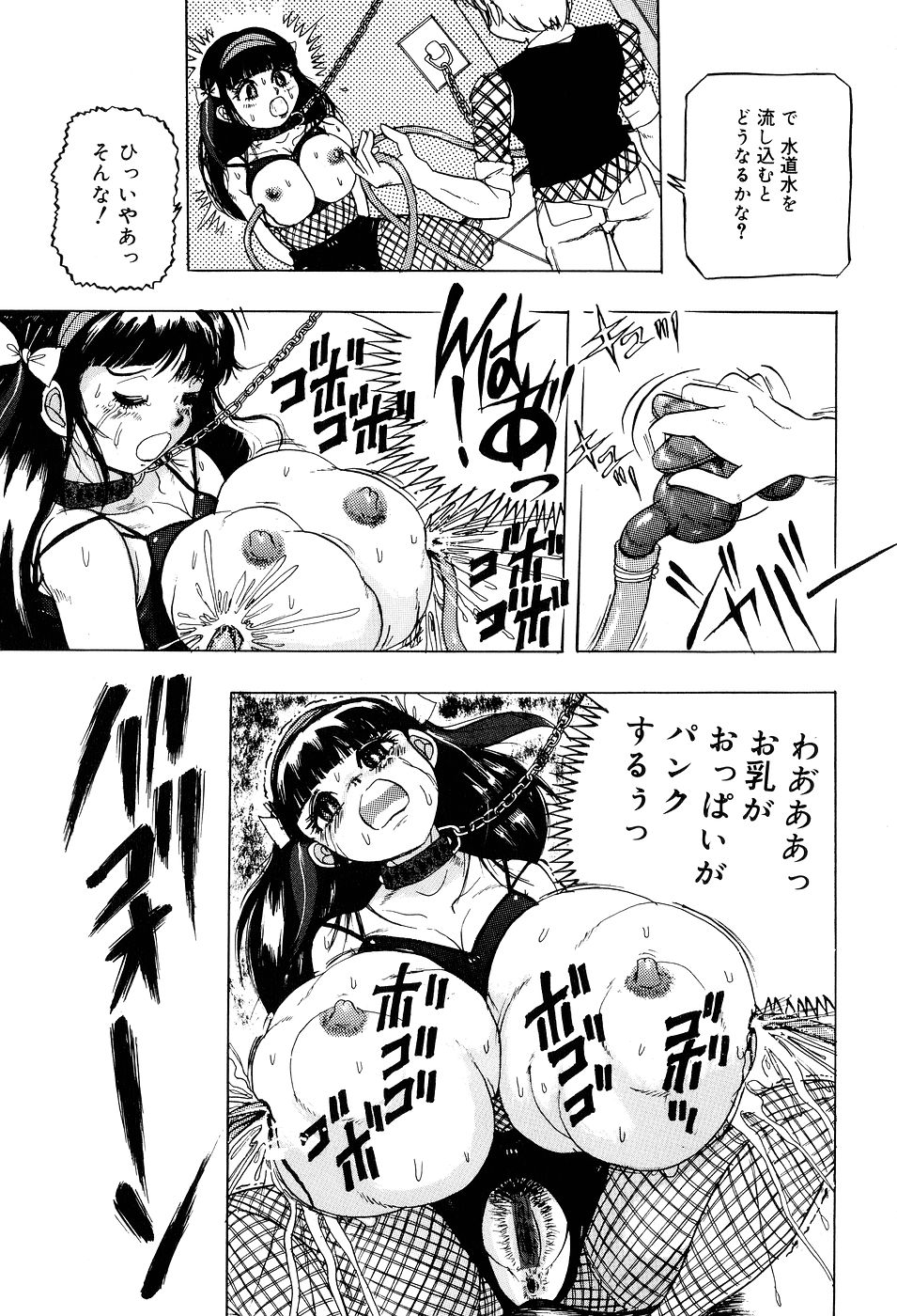 [切裂ミンチ] 糞詰め便器姫