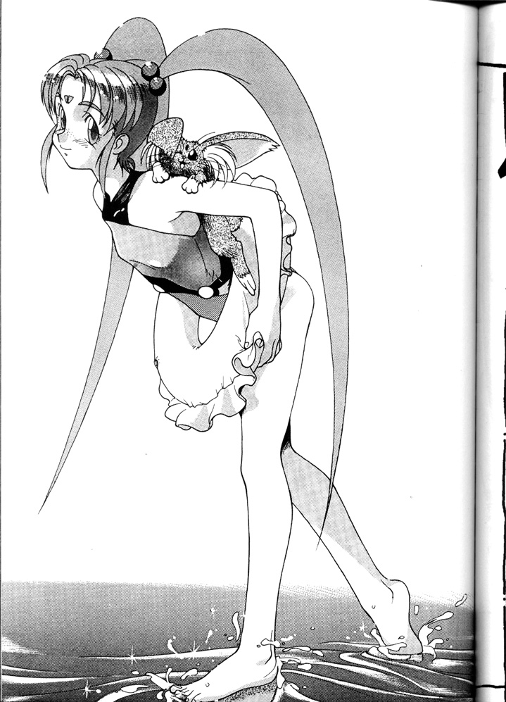 【システムガジー】天地唐楽DDT（天地無用！）