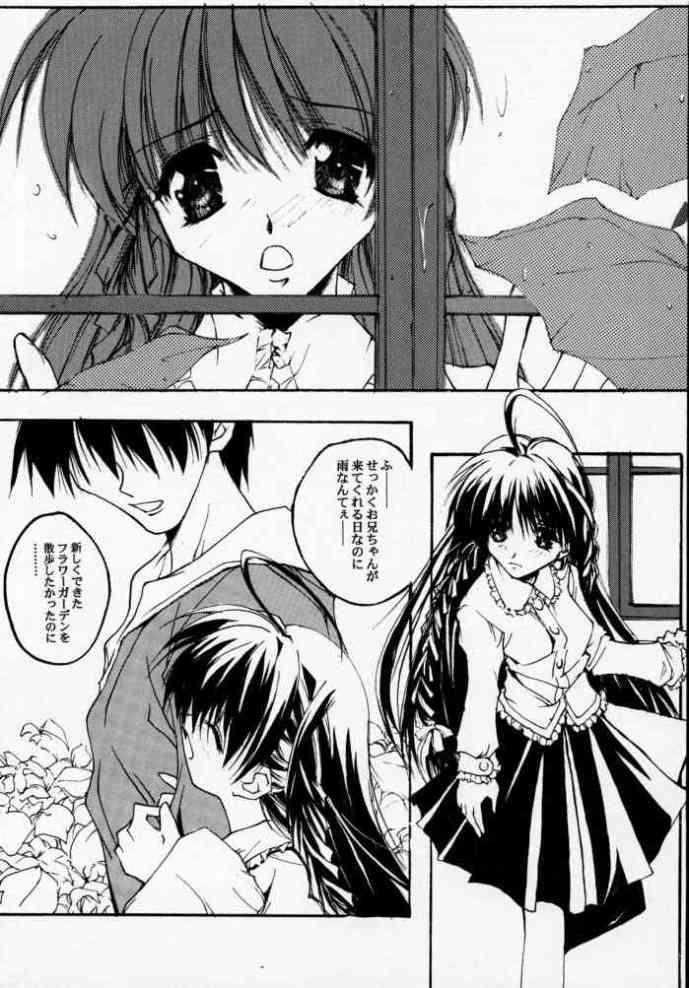 (Cレヴォ28) [流石堂 (流ひょうご)] Geschwister (シスタープリンセス)