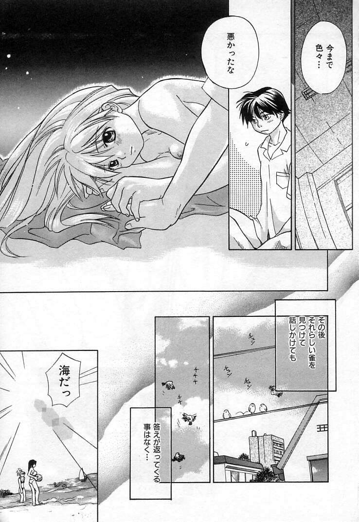 [甘夏真琴] 雀じゃん