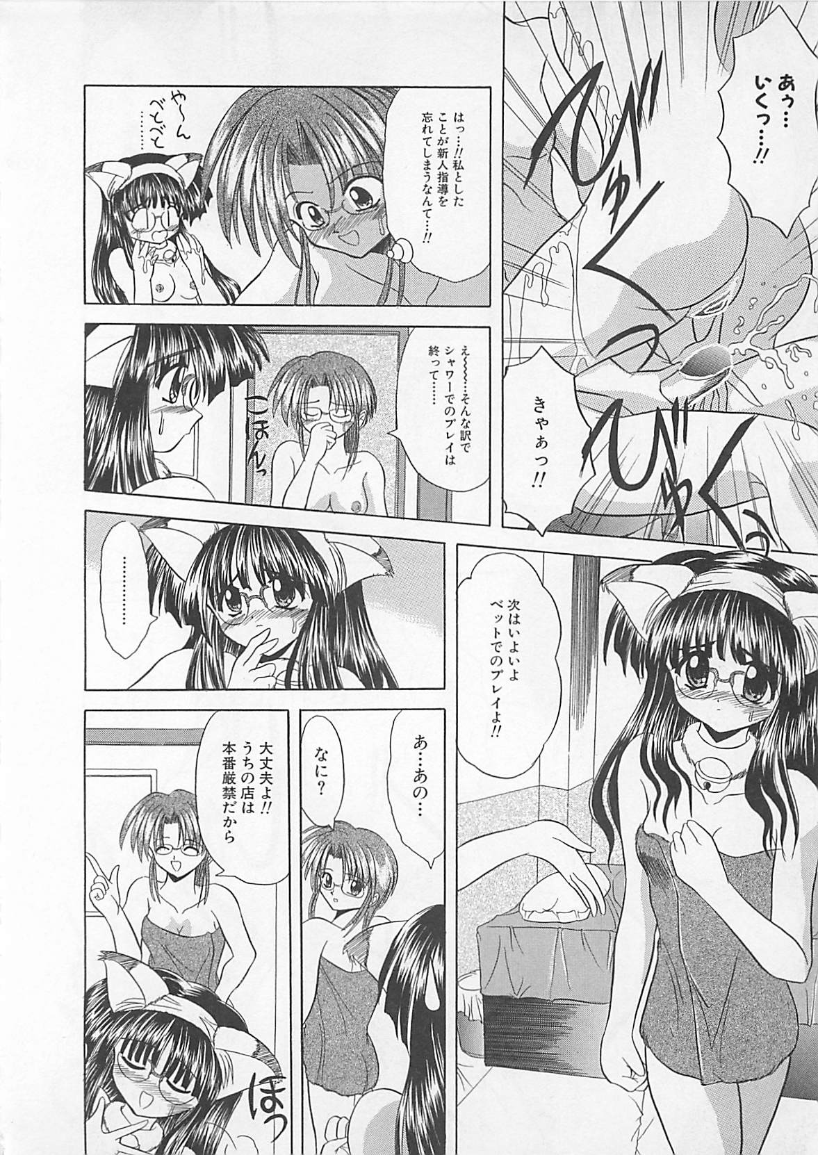 [秋澤和彦] ぽわぽわでぃず