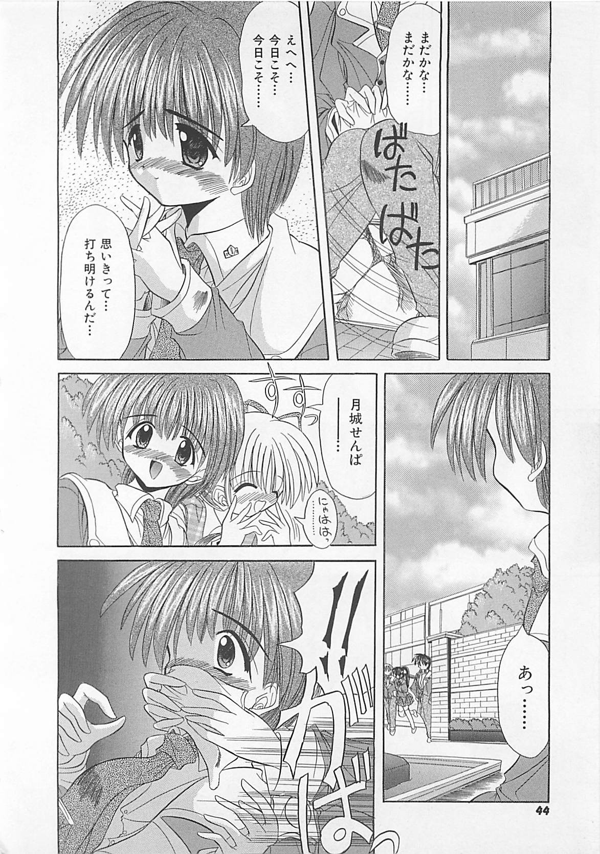 [秋澤和彦] ぽわぽわでぃず