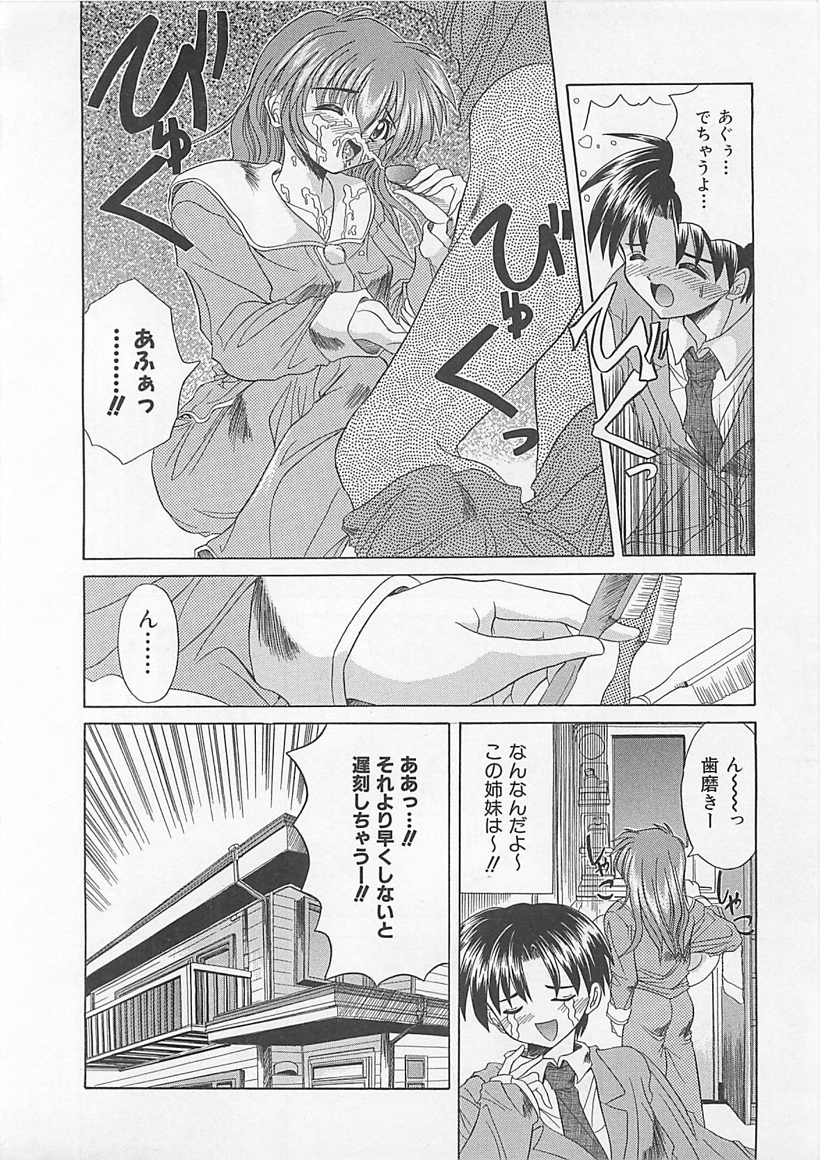 [秋澤和彦] ぽわぽわでぃず