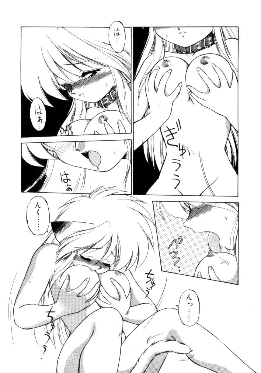 [えびふらい] 毎日がWONDER LAND