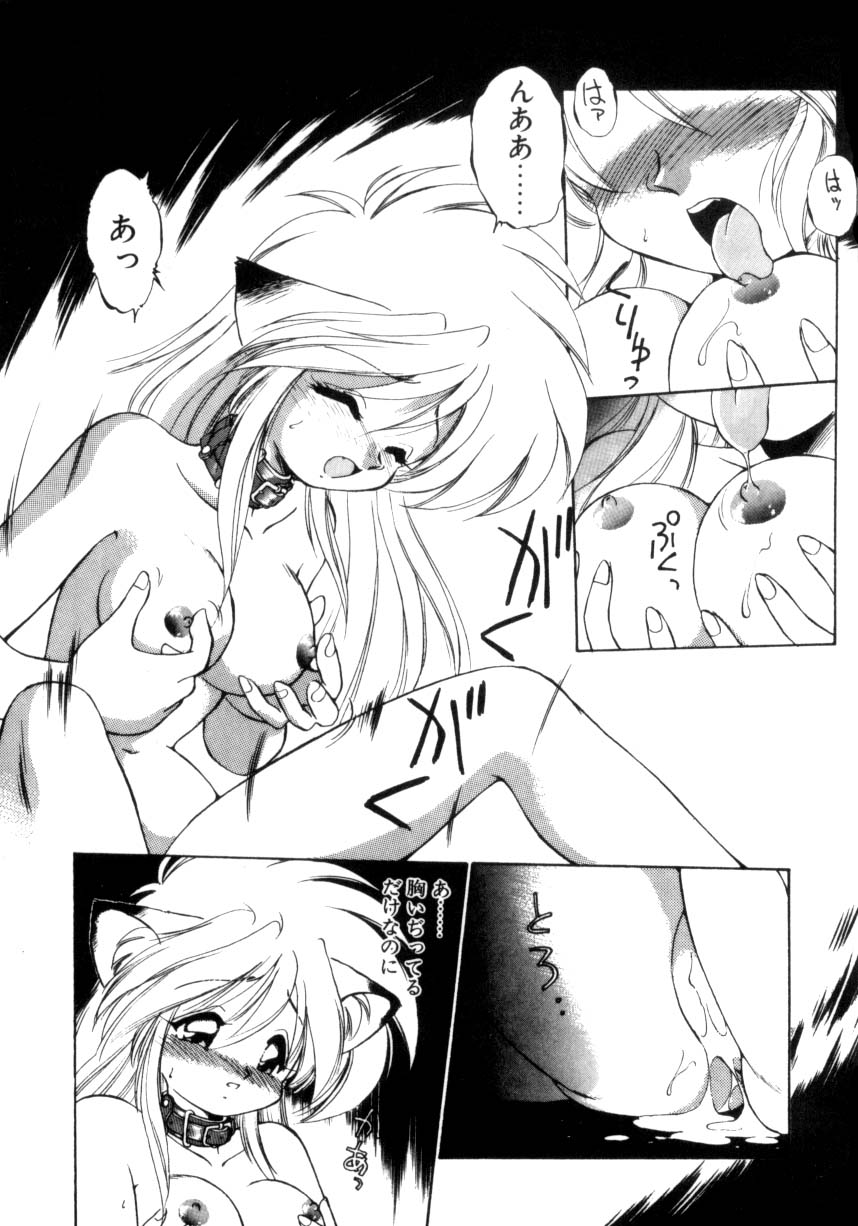 [えびふらい] 毎日がWONDER LAND