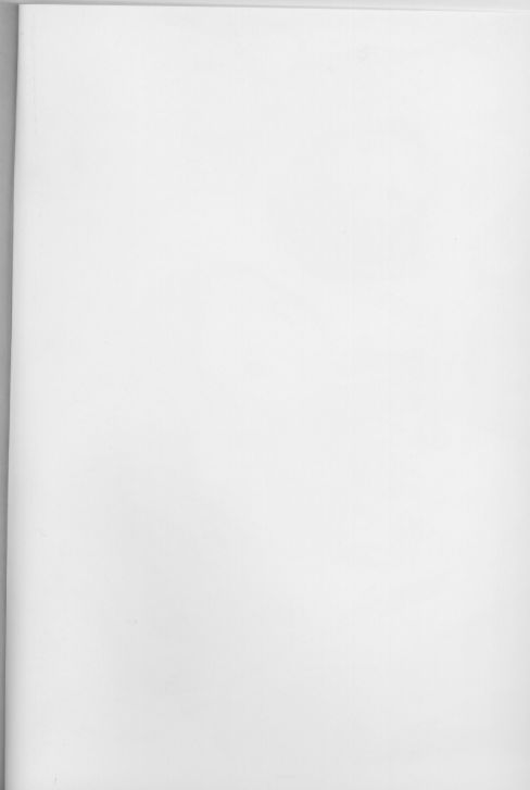 (C60) [アラルマ (ナイロン)] Aralumania 8 DAZZY and MYLKY ENOUGH. (おジャ魔女どれみ)