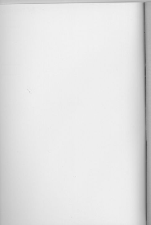 (C60) [アラルマ (ナイロン)] Aralumania 8 DAZZY and MYLKY ENOUGH. (おジャ魔女どれみ)