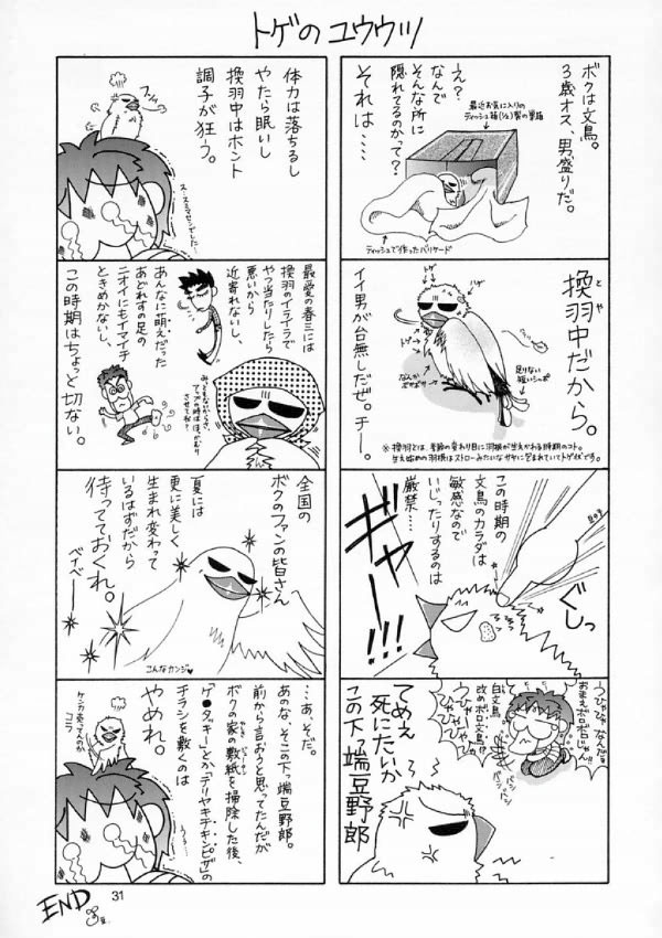 (C66) [GOLD RUSH (鈴木あどれす)] Edition (花) (機動戦士ガンダム SEED) [英訳]