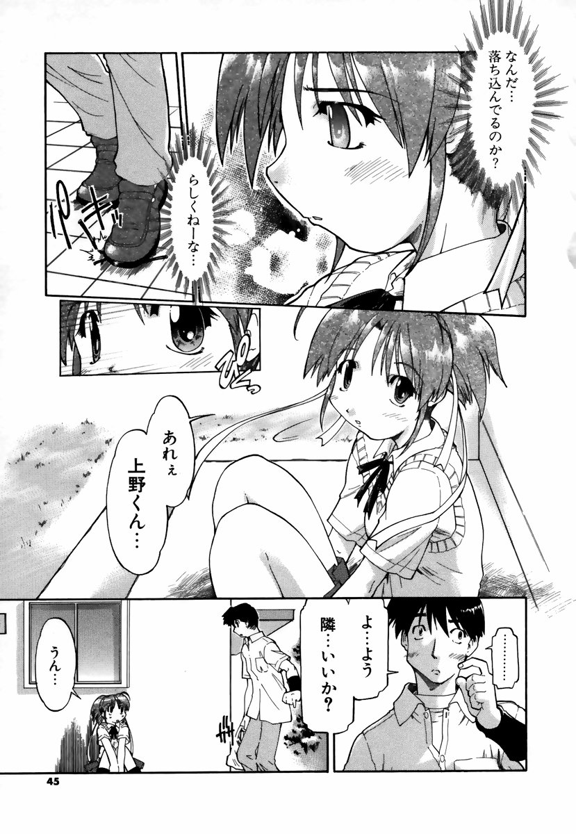 [昭嶋しゅん] NATURAL SCIENCE
