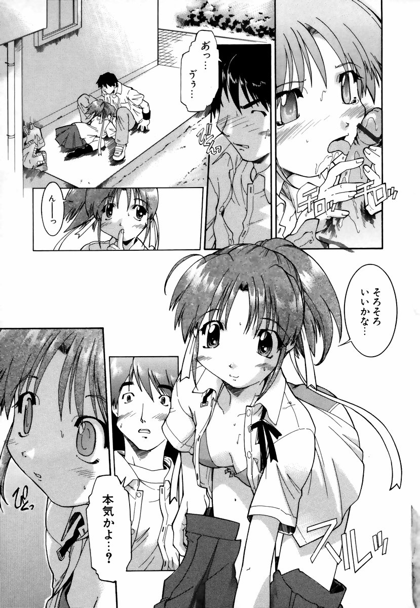 [昭嶋しゅん] NATURAL SCIENCE
