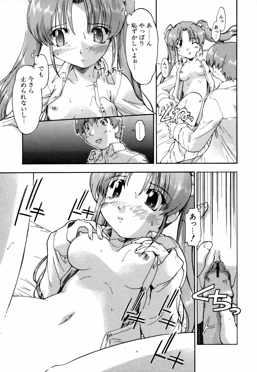 [昭嶋しゅん] NATURAL SCIENCE