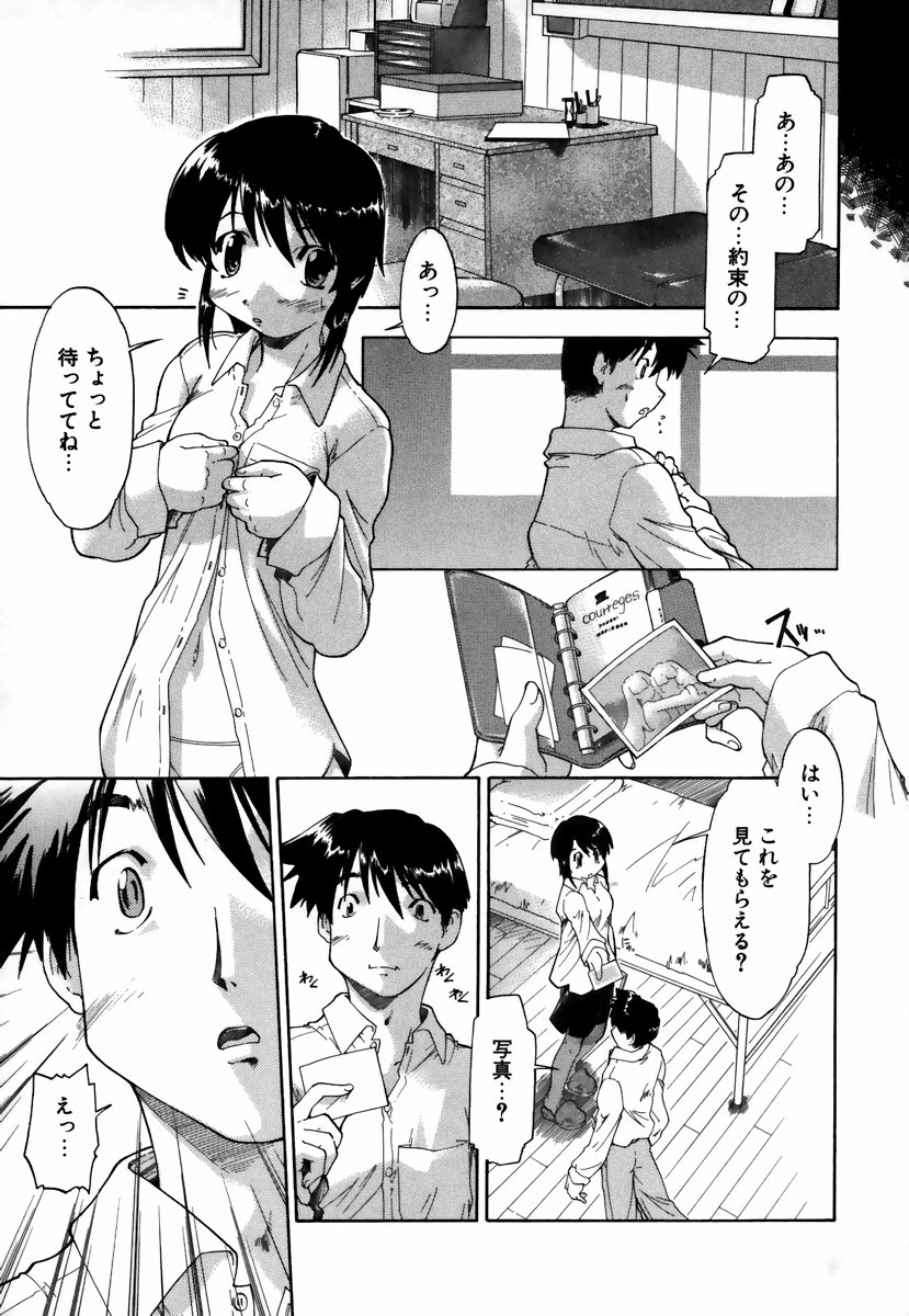 [昭嶋しゅん] NATURAL SCIENCE