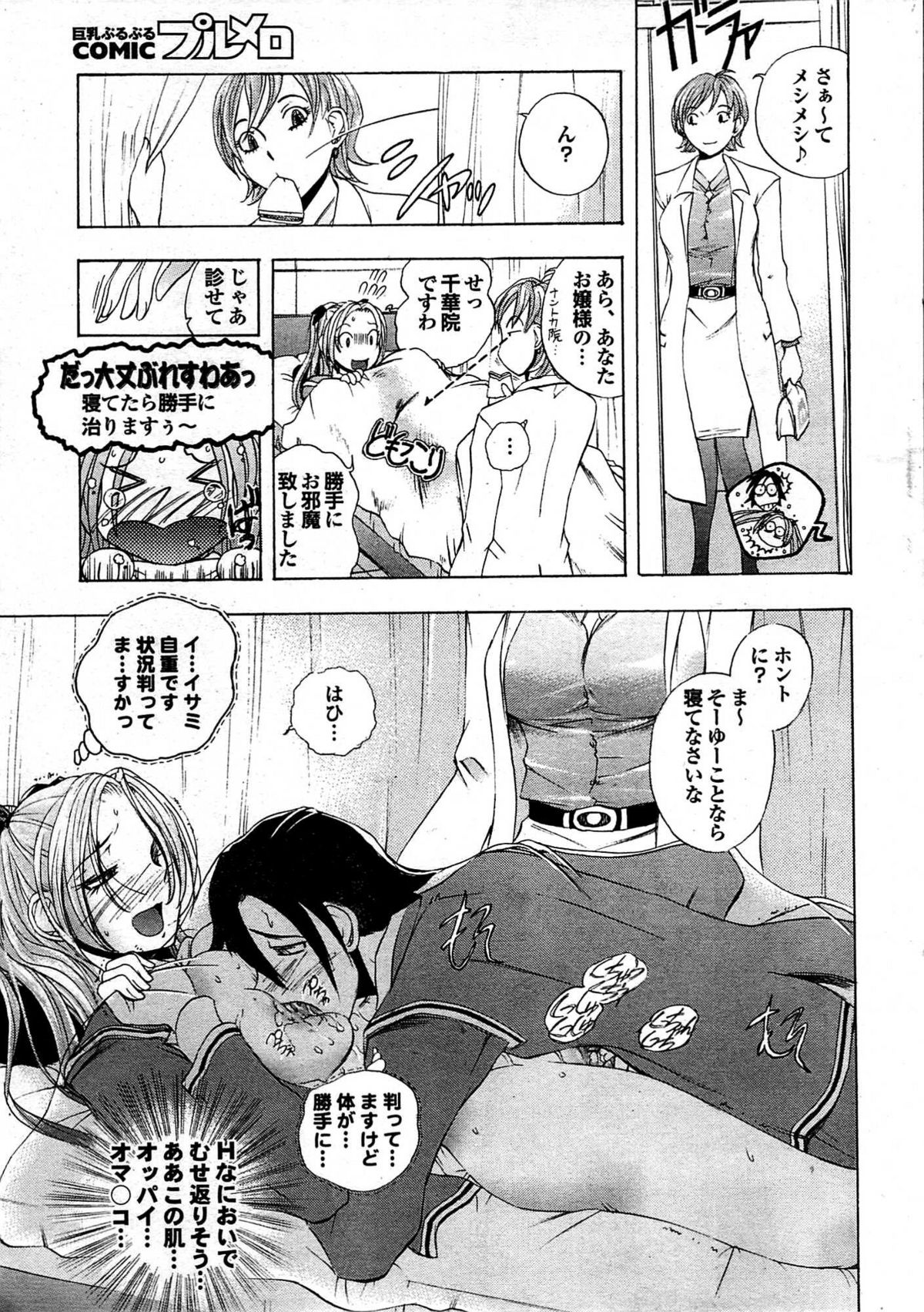 COMIC プルメロ 2008年01月号 vol.13