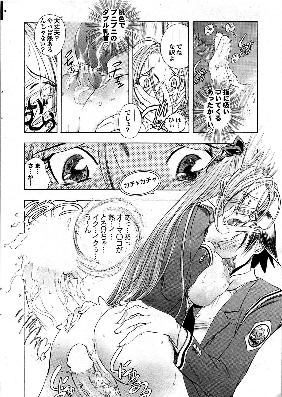 COMIC プルメロ 2008年01月号 vol.13