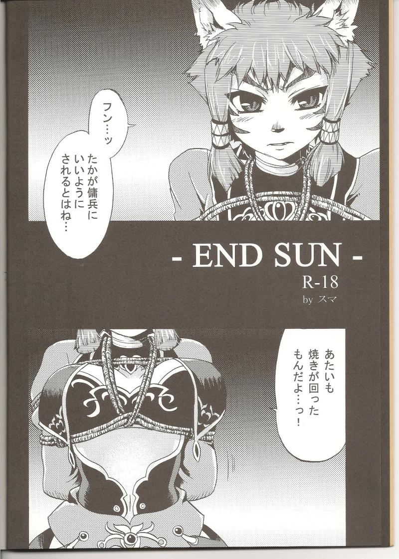 (C75) [PINK VENUS (寿麿みる)] END SUN (ファイナルファンタジーXI)