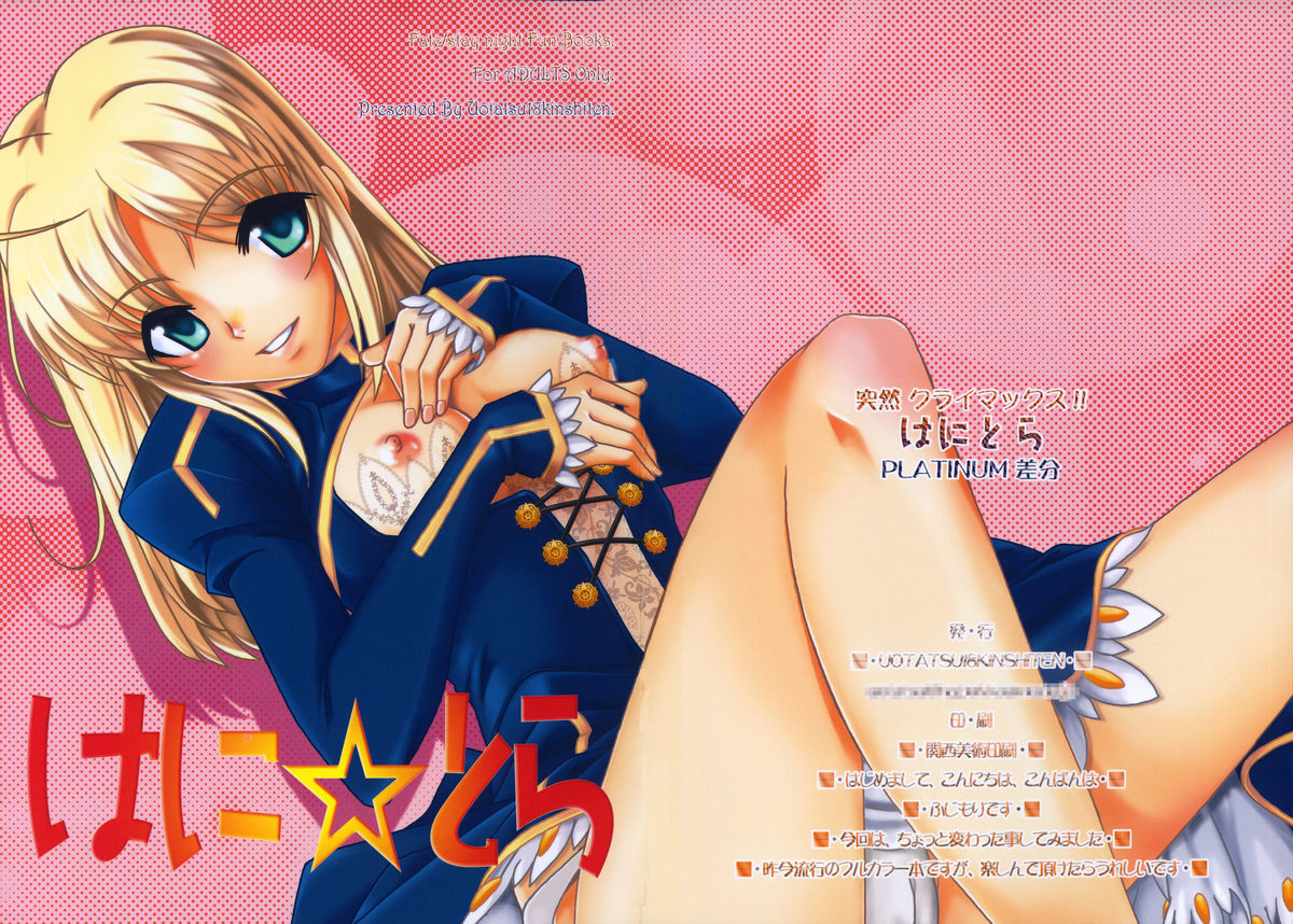 (C76) [魚辰一八金支店 (ふじもり沙耶)] はに☆とら (Fate/stay night)