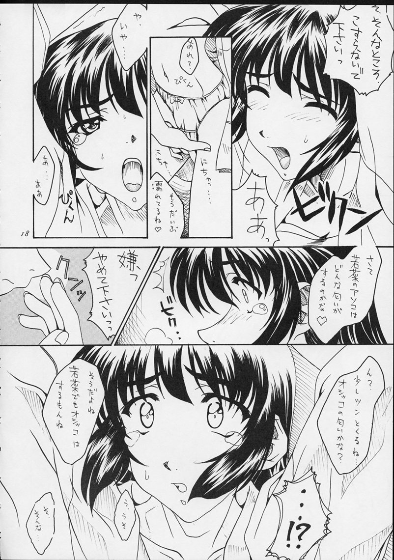 (Cレヴォ25) [さくら工房 (桜小鉄、やんまん)] しあわせな若菜2 (センチメンタルグラフティ)