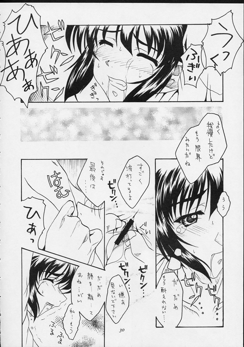 (Cレヴォ25) [さくら工房 (桜小鉄、やんまん)] しあわせな若菜2 (センチメンタルグラフティ)