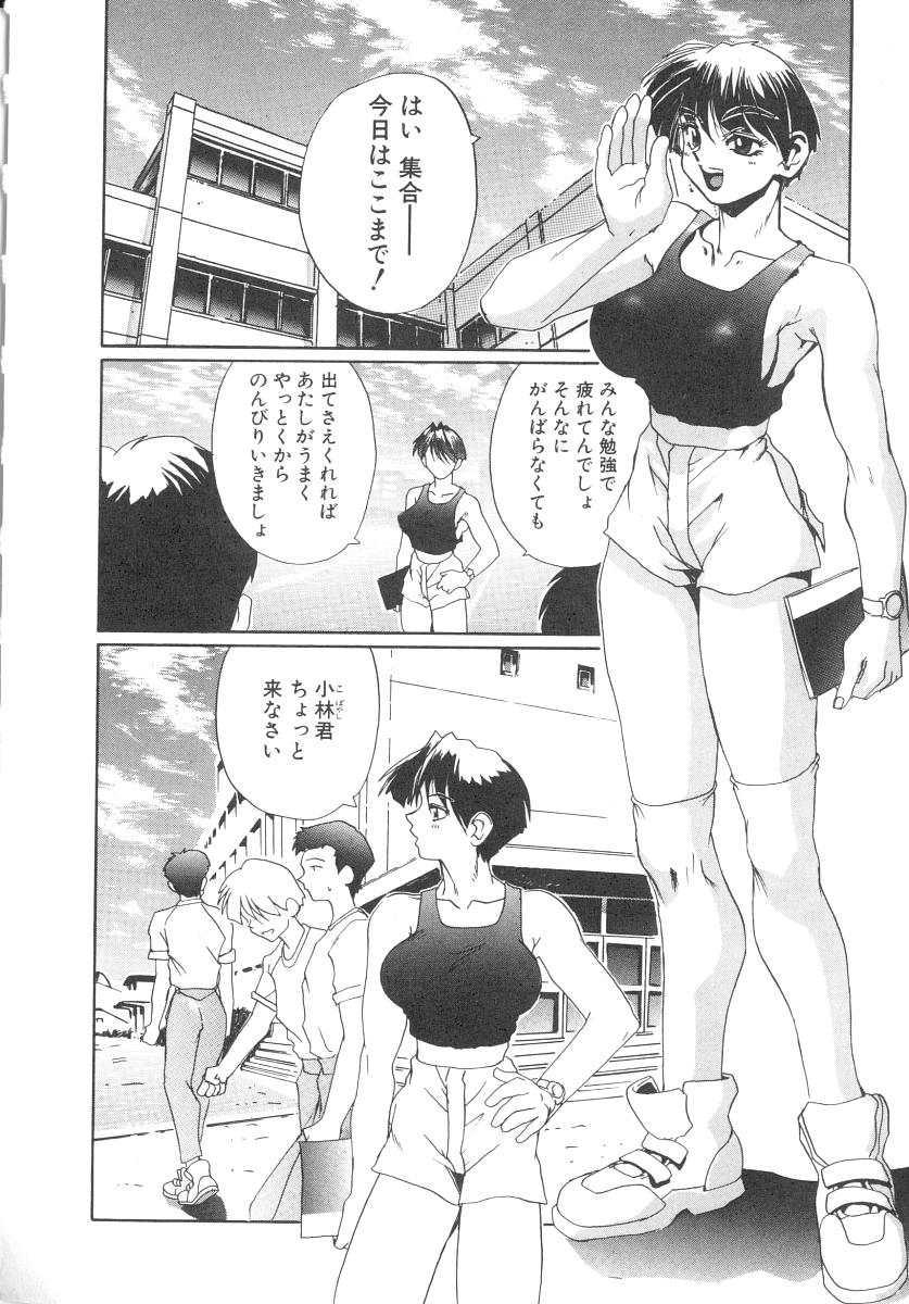 [NeWMeN] シークレットプロット