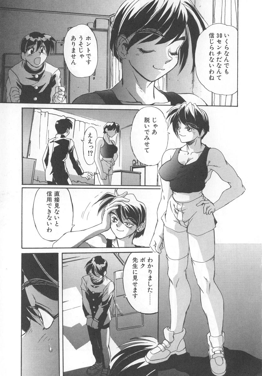 [NeWMeN] シークレットプロット