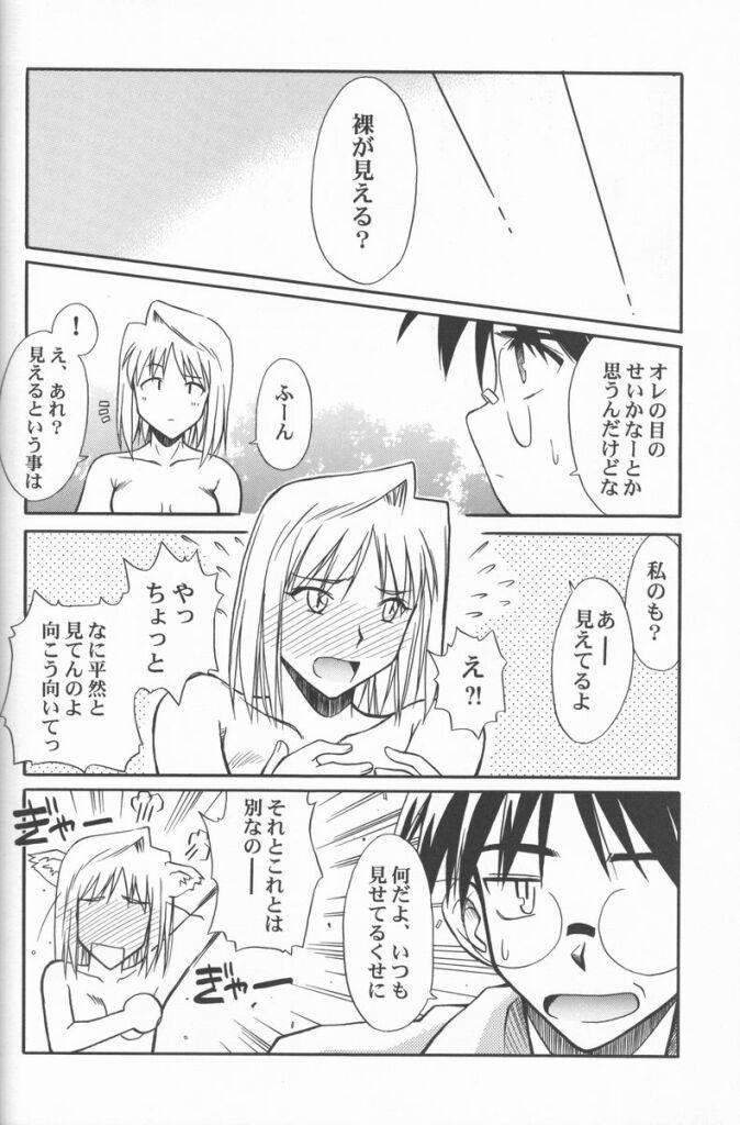 (Cレヴォ31) [怪奇日蝕 (綾野なおと)] Untouchable Girls (月姫)