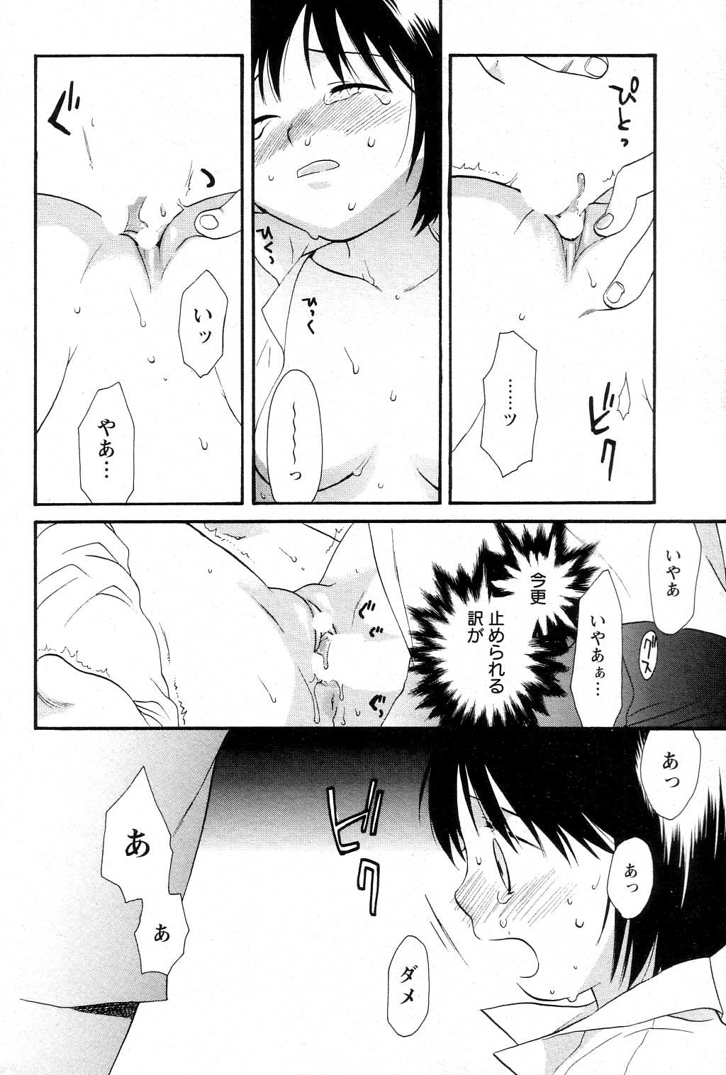 【関屋あざみ】ぜったい君主（JPN）