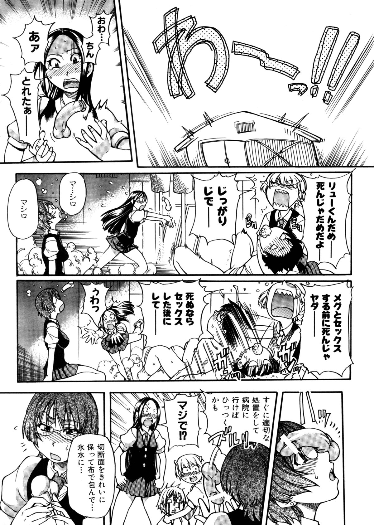 [師走の翁] 精装追男姐