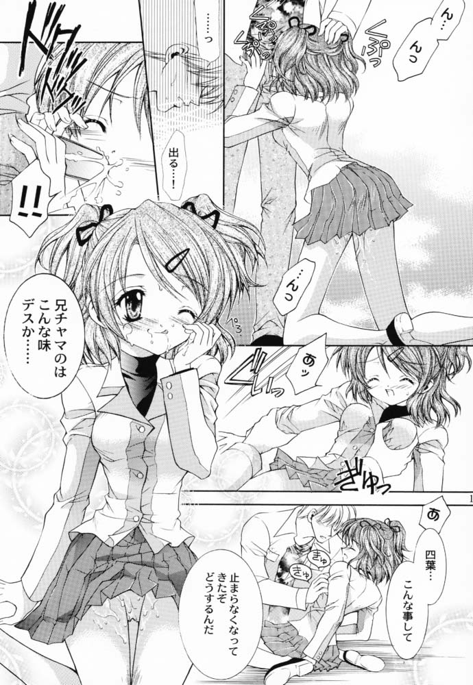 (サンクリ12) [猫見屋 (猫見春人)] JUICY FRUITS (シスタープリンセス)