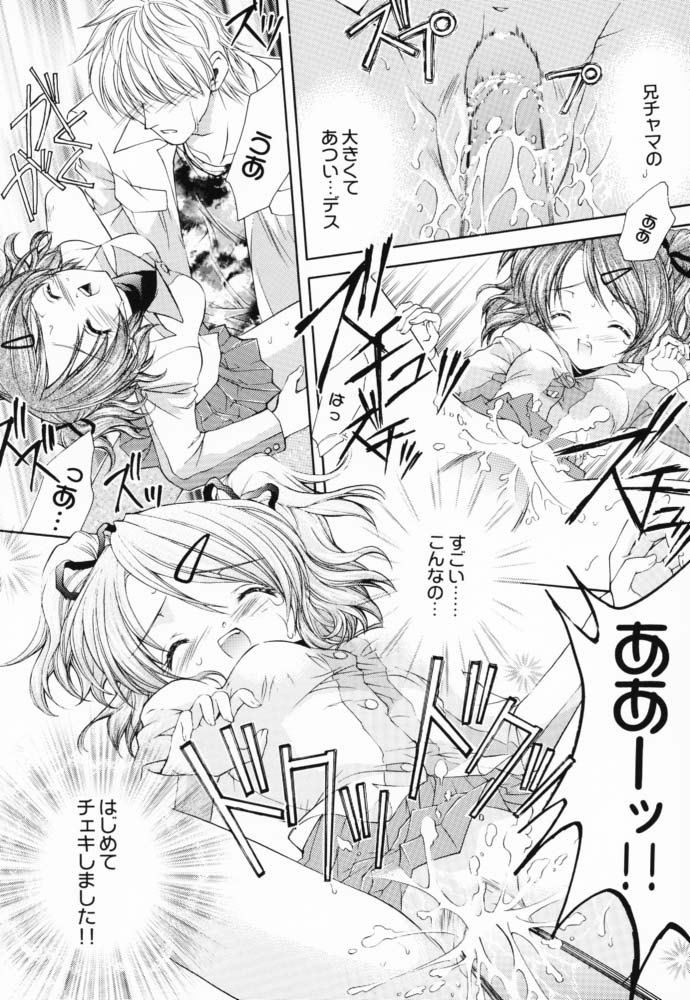 (サンクリ12) [猫見屋 (猫見春人)] JUICY FRUITS (シスタープリンセス)