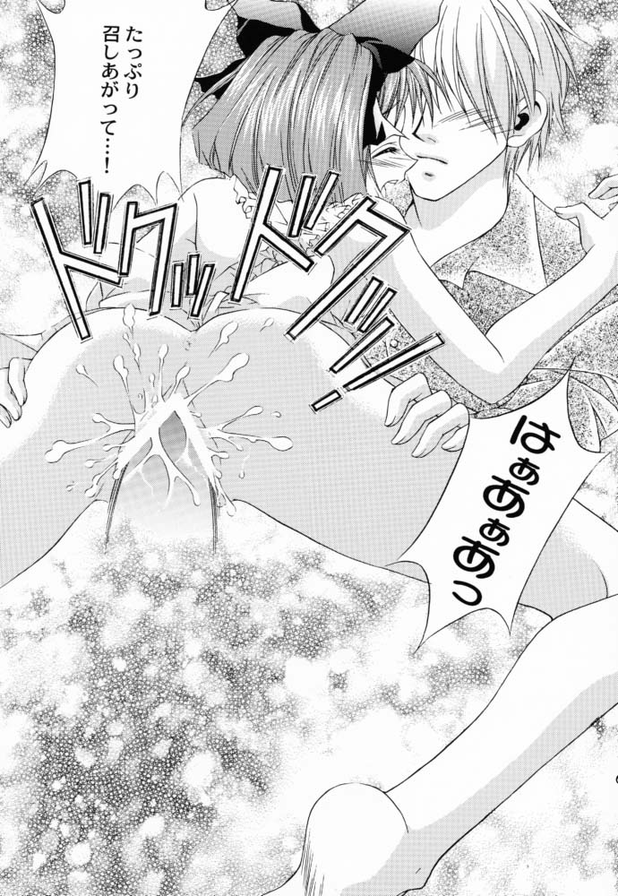 (サンクリ12) [猫見屋 (猫見春人)] JUICY FRUITS (シスタープリンセス)