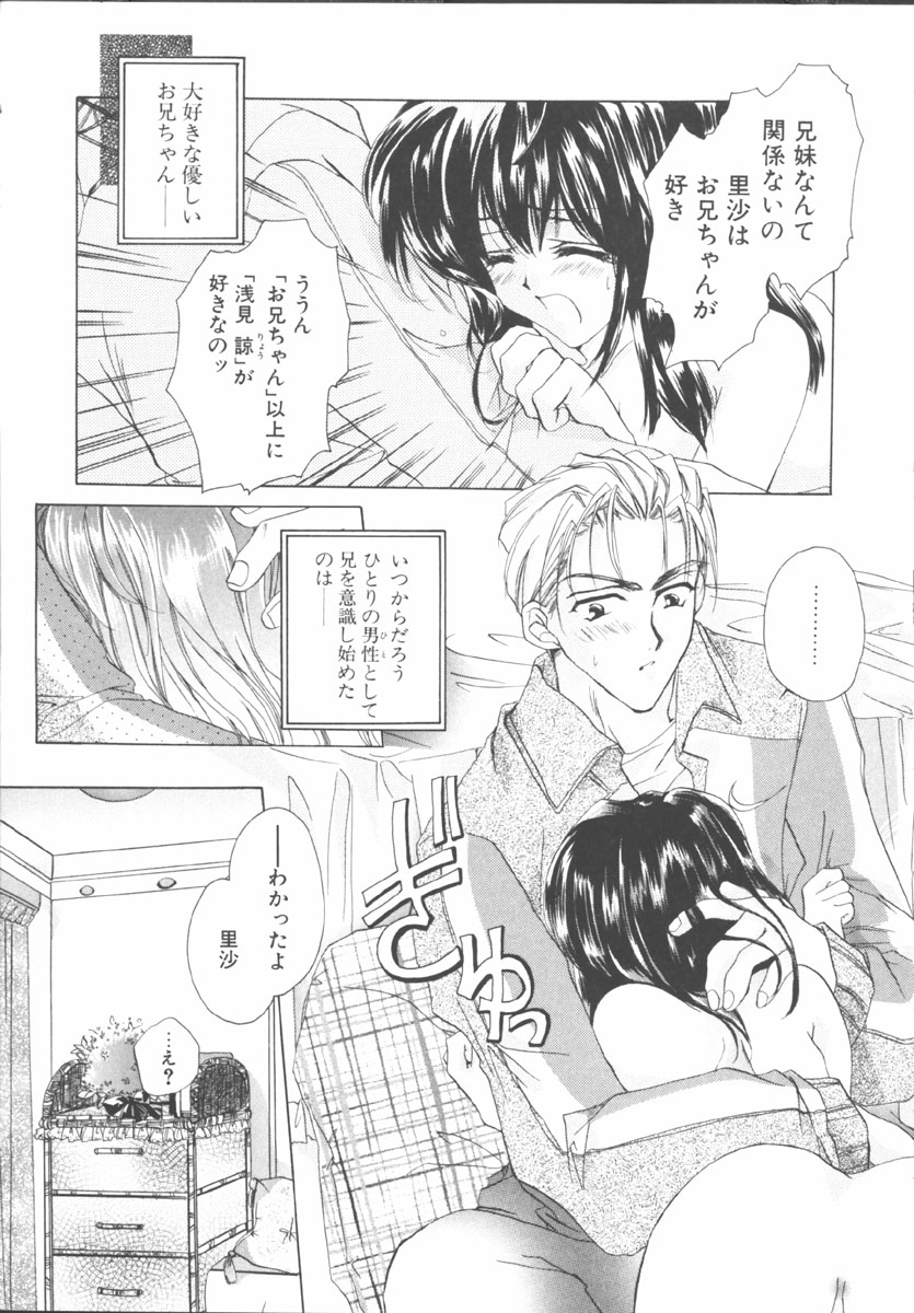 [桜井綾] マイ スウィート プラム