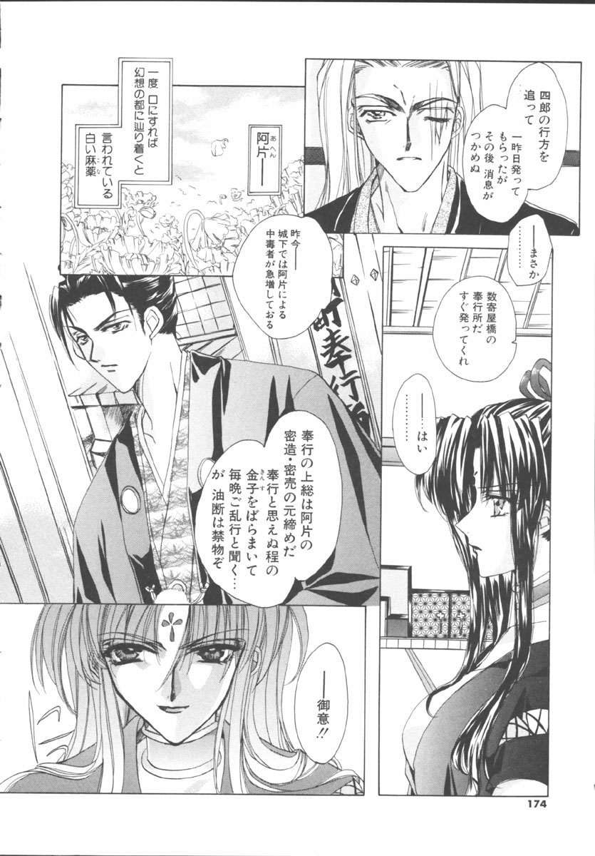 [桜井綾] マイ スウィート プラム