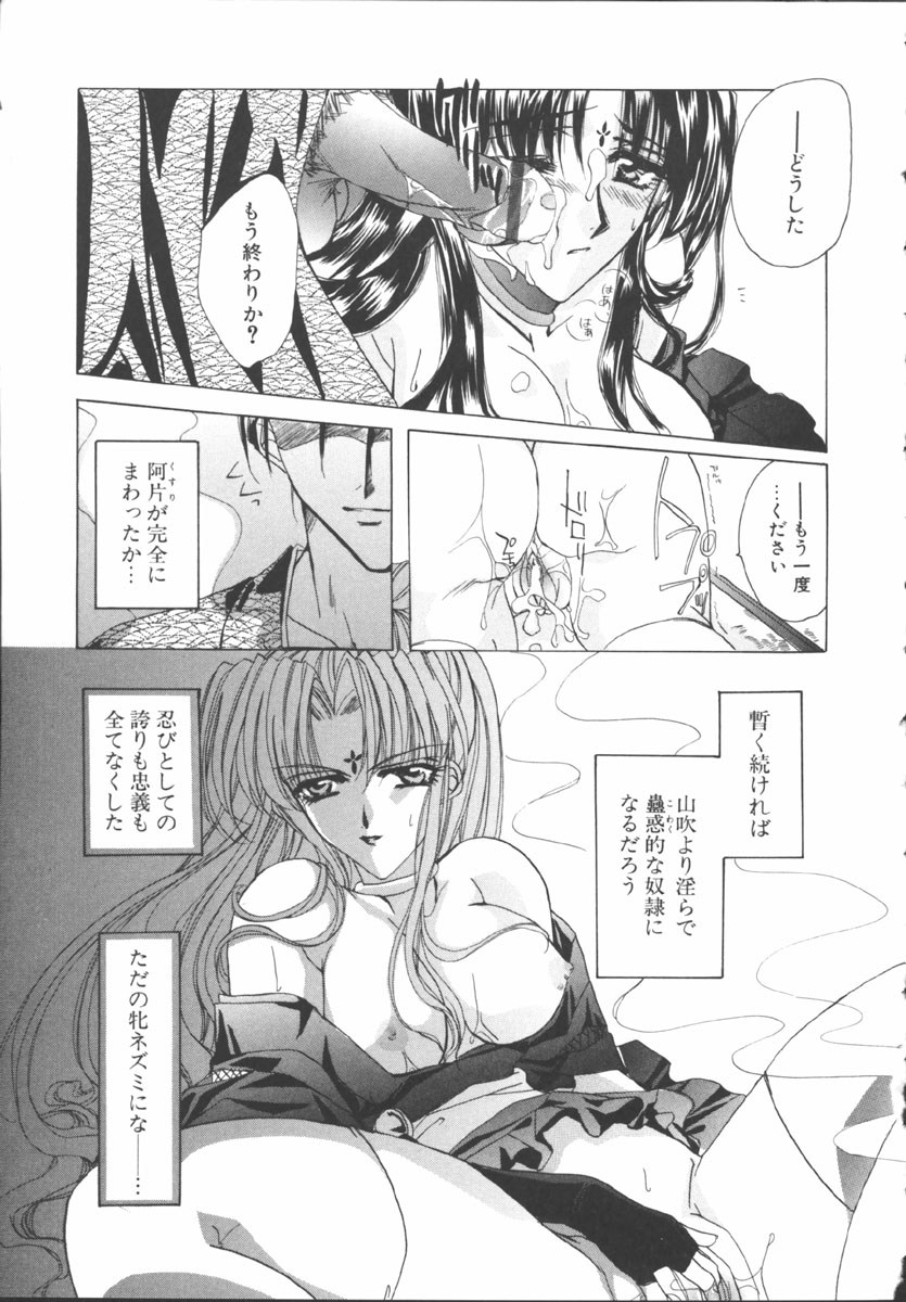 [桜井綾] マイ スウィート プラム