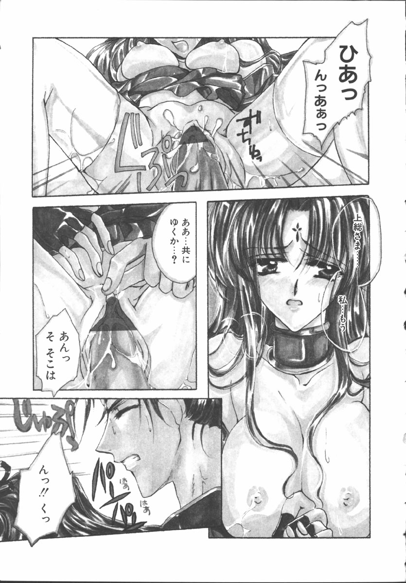 [桜井綾] マイ スウィート プラム