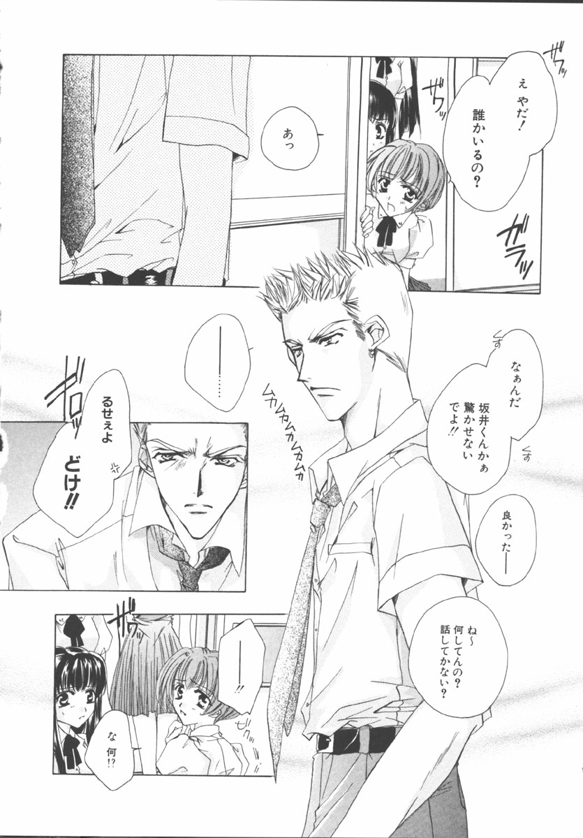 [桜井綾] マイ スウィート プラム