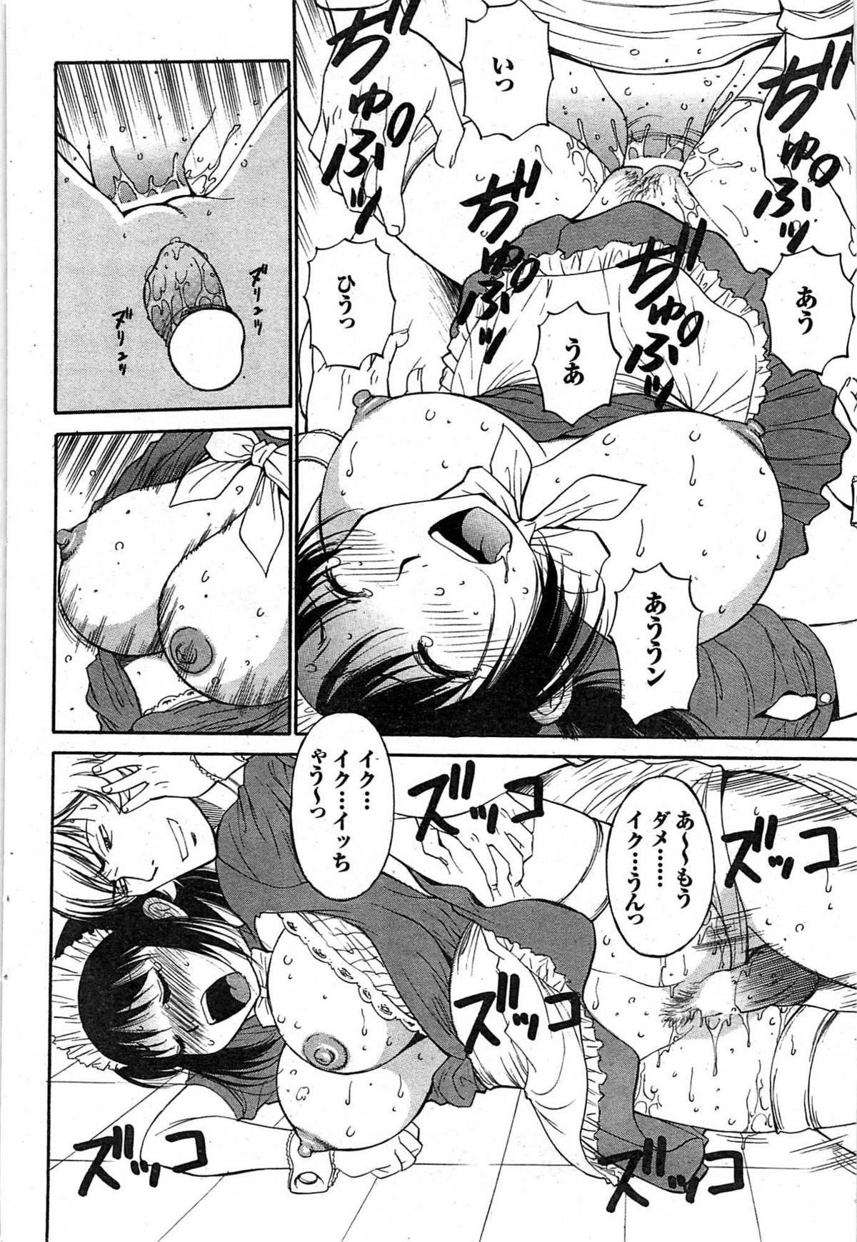 COMIC プルメロ 2008年02月号 vol.14